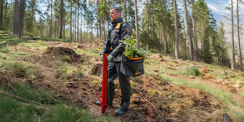  Herbstpflanzung im Wald