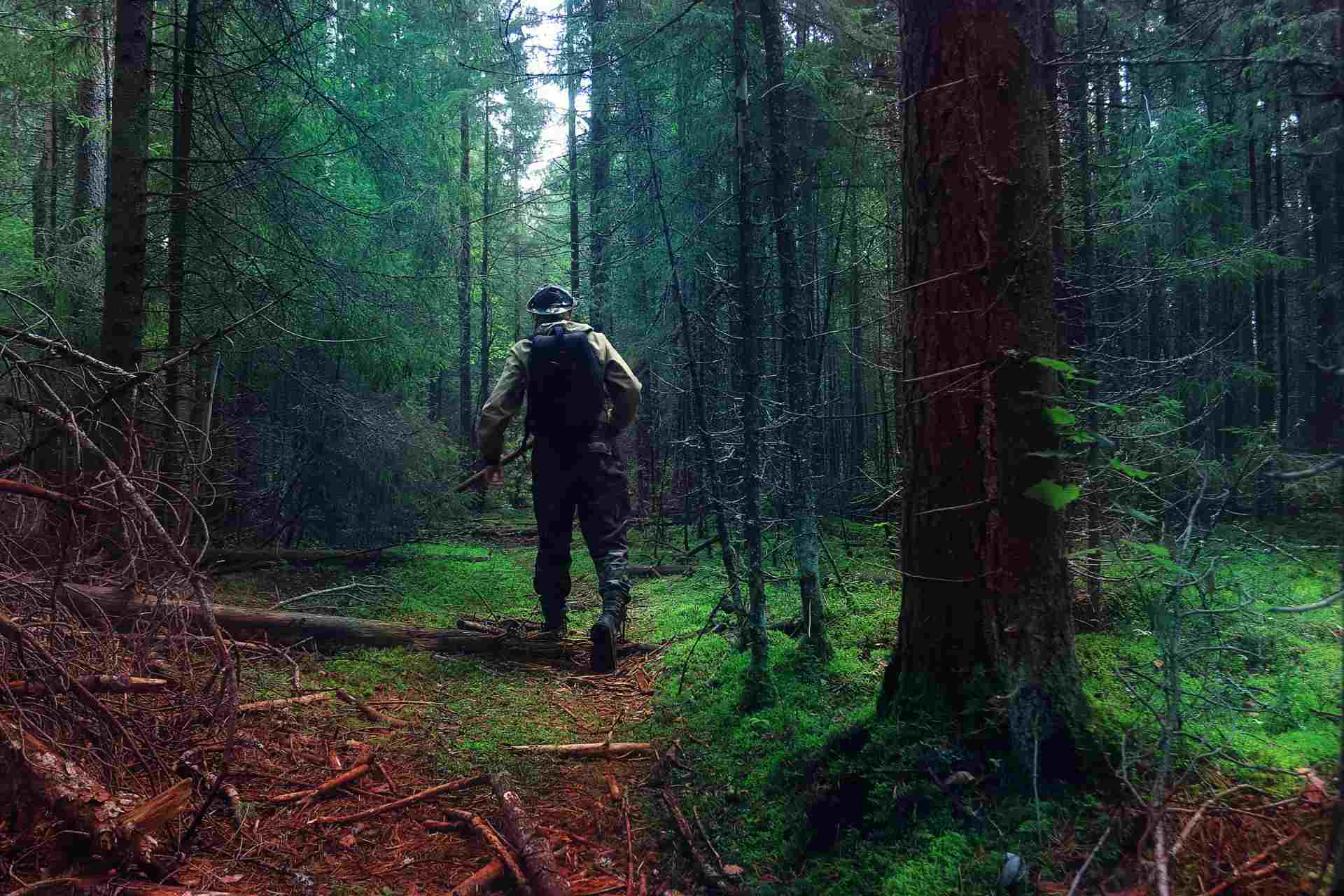 Ein Mann in Funktionskleidung steht mit Rücken zur Kamera in dunklem Wald