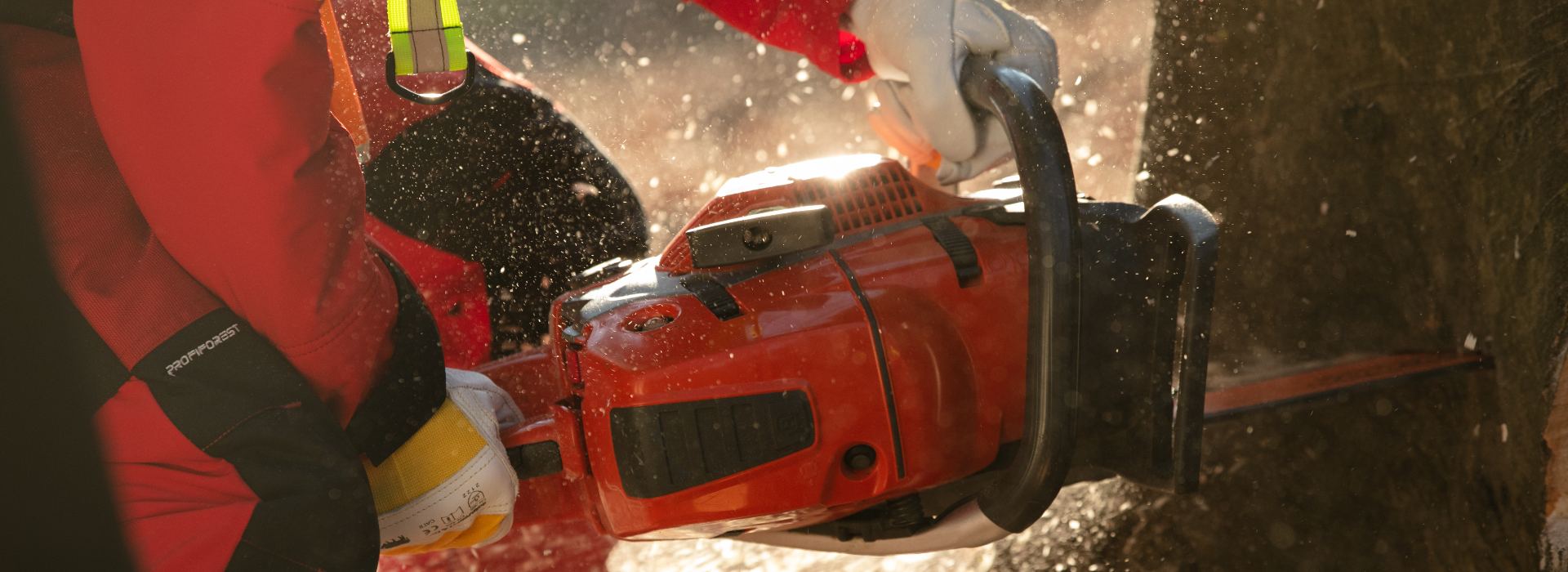 Eine Person in Schnittschutz-Kleidung bedient eine Motorsäge im Wald