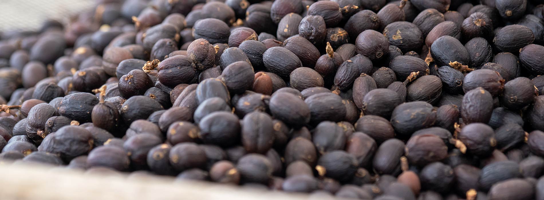 header_magazin_kaffee_2_titel